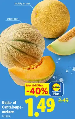 Lidl Galia of Cantaloupe meloen aanbieding