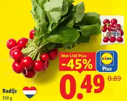 Lidl Radijs aanbieding