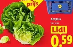 Lidl Kropsla aanbieding