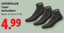 Lidl Caterpillar 3 paar werksokken aanbieding