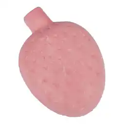 Van Cranenbroek Knaagdiersnack knaagsteen aardbei 65 gram aanbieding