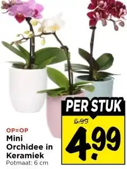 Vomar Voordeelmarkt Mini Orchidee in Keramiek aanbieding