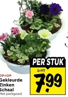 Vomar Voordeelmarkt Gekleurde Zinken Schaal aanbieding