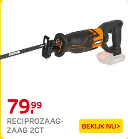 Praxis Reciprozaag zaag 2ct aanbieding