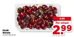 PLUS PLUS Kersen aanbieding