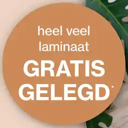 Roobol heel veel laminaat GRATIS GELEGD aanbieding