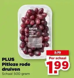 PLUS PLUS Pitloze rode druiven aanbieding
