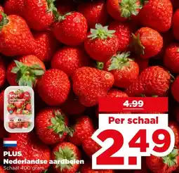 PLUS PLUS Nederlandse aardbeien aanbieding