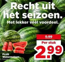 PLUS PLUS Watermeloen aanbieding
