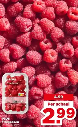 PLUS PLUS Frambozen aanbieding
