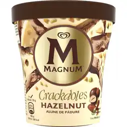 PLUS Magnum Pint Double Hazelnut aanbieding