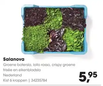 HANOS Salanova aanbieding