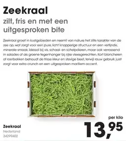 HANOS Zeekraal aanbieding