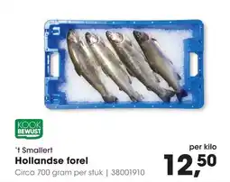 HANOS 't Smallert Hollandse forel aanbieding