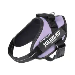 Zooplus Julius-K9 IDC Powerharness, paarse maat S/Mini: Borstomtrek 49-67cm voor honden aanbieding