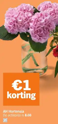 Albert Heijn AH Hortensia aanbieding