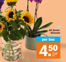 Albert Heijn AH Zonnebloemen aanbieding
