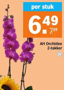 Albert Heijn AH Orchidee aanbieding