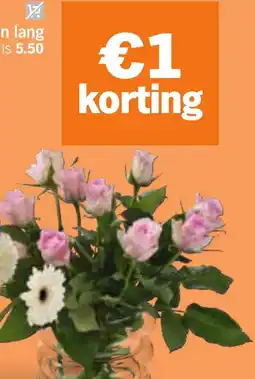 Albert Heijn AH Rozen lang aanbieding