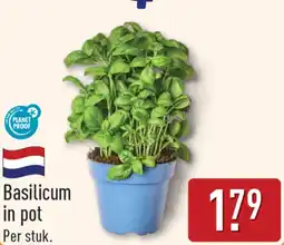 ALDI Basilicum in pot aanbieding
