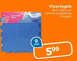 Trekpleister Vloertegels Dalles aanbieding