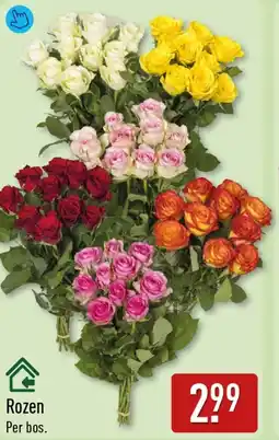ALDI Rozen aanbieding