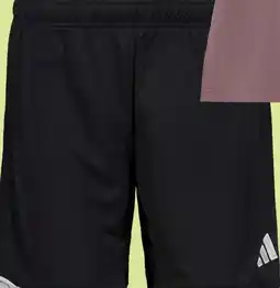 Scapino Adidas Own The Run heren hardloopshort zwart wit aanbieding