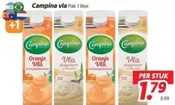 Dekamarkt Campina vla aanbieding