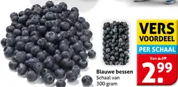 Hoogvliet Blauwe bessen aanbieding