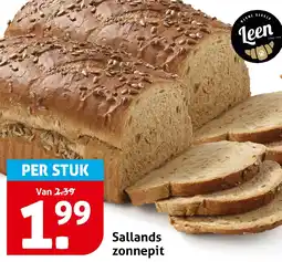 Hoogvliet Sallands zonnepit aanbieding