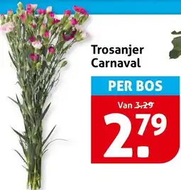 Hoogvliet Trosanjer Carnaval aanbieding
