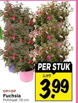 Vomar Voordeelmarkt Fuchsia aanbieding