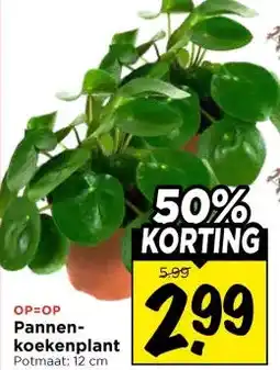 Vomar Voordeelmarkt Pannen- koekenplant aanbieding