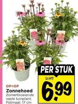 Vomar Voordeelmarkt Zonnehoed aanbieding