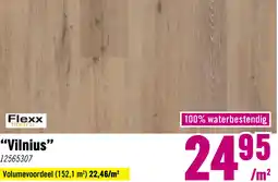 Hornbach FLEXXFLOORS Dryback PVC vloerdelen Vilnius aanbieding