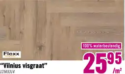 Hornbach FLEXXFLOORS Dryback PVC vloerdelen visgraat Vilnius aanbieding