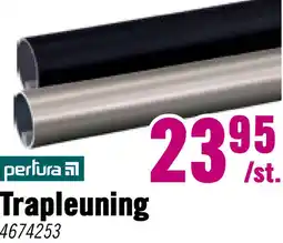 Hornbach PERTURA Trapleuning rond RVS-look Ø45 mm, 100cm aanbieding
