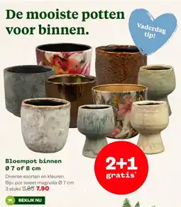 Welkoop Bloempot binnen aanbieding