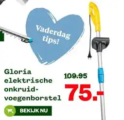 Welkoop Gloria elektrische onkruid- voegenborstel aanbieding