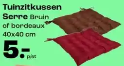 Kwantum Tuinzitkussen Serre aanbieding