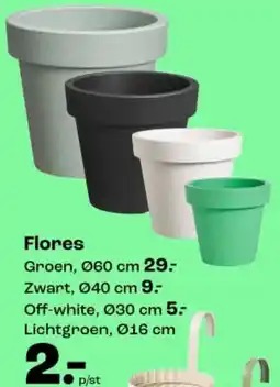 Kwantum Flores aanbieding