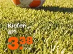 Kwantum Kunstgras Kiefer aanbieding