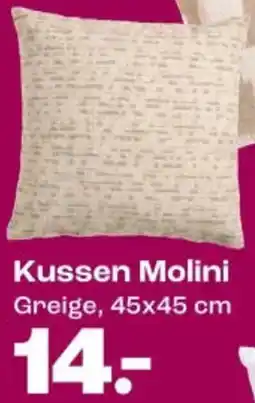 Kwantum Kussen Molini aanbieding