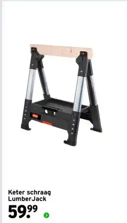 GAMMA Keter schraag LumberJack aanbieding