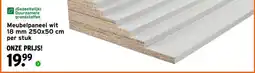 GAMMA Meubelpaneel wit 18 mm 250x50 cm aanbieding
