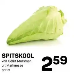 Ekoplaza SPITSKOOL aanbieding