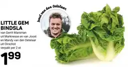 Ekoplaza LITTLE GEM BINDSLA aanbieding