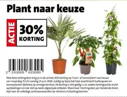 Intratuin Plant naar keuze aanbieding