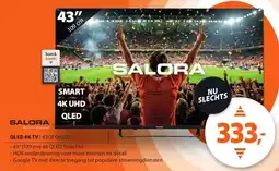 Expert SALORA QLED 4K TV | 43QFG6500 aanbieding