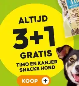 Pets Place TIMO EN KANJER SNACKS HOND aanbieding